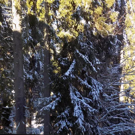 Forest Place 1 Pamporovo